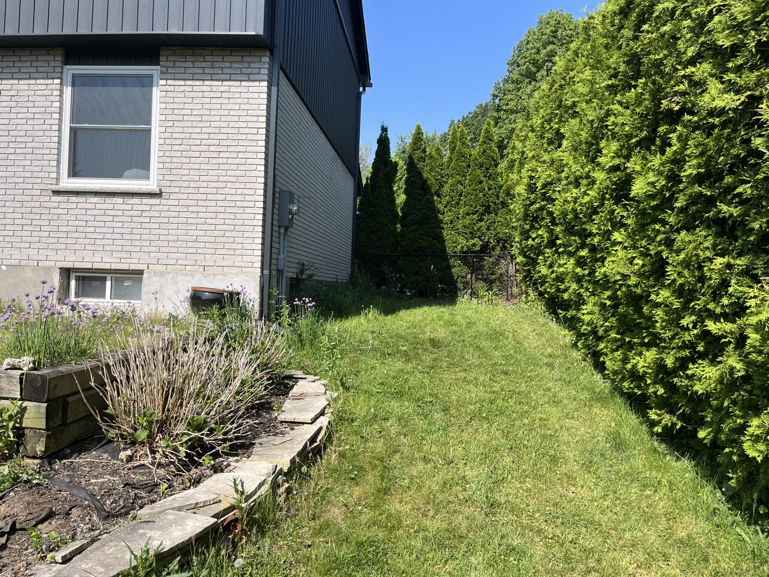 Backyard Grass Before Concrete Shed Pad